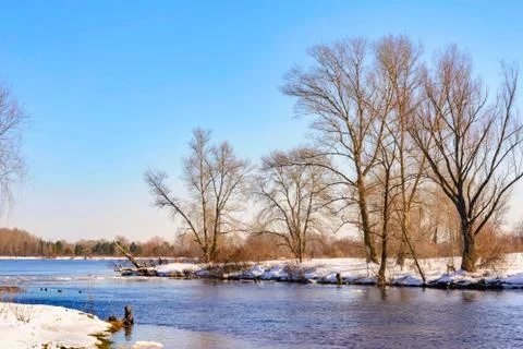 View of willow trees and poplars close to the Dnieper River in Kiev Фото