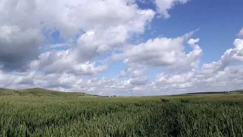 View of Wiltshire landscape. Video stock 76807507