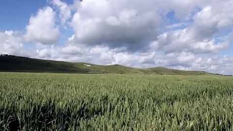 View of Wiltshire landscape. Video stock 76808161