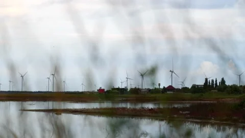 View of wind farms through thickets of grass Stock Footage 164921200