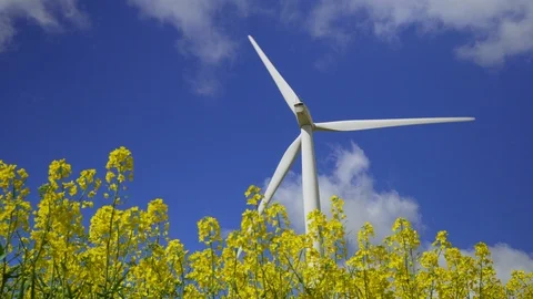 View of Wind turbine Stock Footage 89523266