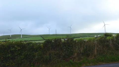 A view of wind turbines on a green field. Stock Footage 112819586