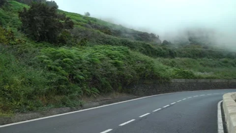 View on a winding mountain road at cloud level, slopes covered with green Stock Footage 139761208
