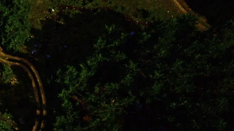 View of a winding path through trees in a forest area during daylight Stock Footage 345011583