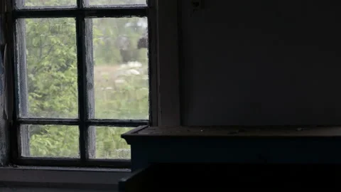 The view from the window of an abandoned house. Green landscape in the window Stock Footage 199486652