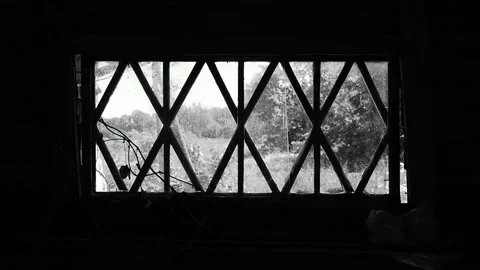 View from the window above the door Stock Footage 138645844