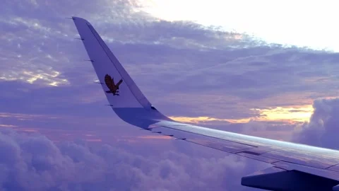 View from window on airplane wing plane while flying above dawn clouds, blu.. Stock Footage 236905206