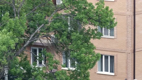 A view on window in an apartment building in the rain on the street in summer Stock Footage 132081624
