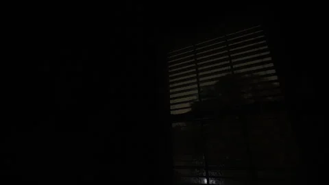 View of the window with blinds at the nighttime. Blinking lightening of Stock Footage 318365684