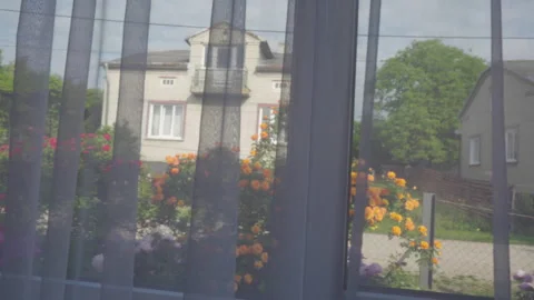View from the window to a blooming garden Video stock 330077096