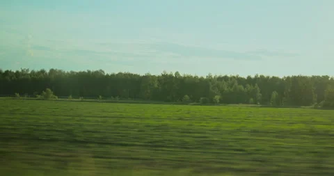 View from the window of a car, bus, train, on a large green meadow, with a Stock Footage 209981863