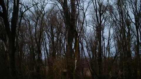 View from the window of the car Stock Footage 74487381