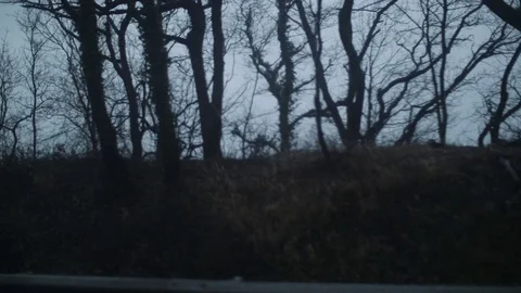 View from the window of the car Stock Footage 74497396