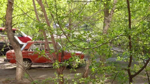 View from the window of the car Stock Footage 308810846