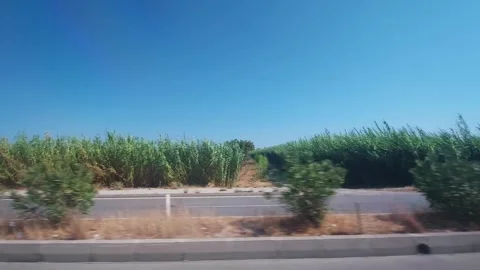 View from the window of a car in motion to the nature of Turkey, fields Stockbeeldmateriaal 307207312
