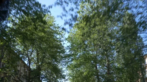 The view from the window of a car that rides along the city's flowering alley Stock Footage 88960295