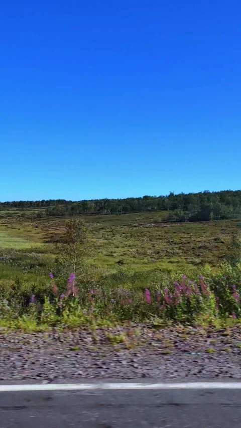 View from the window of the car on the tundra. Stock Footage 294765211