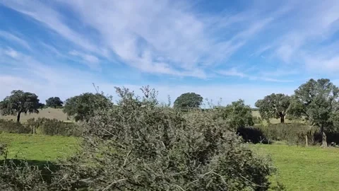 View from the window car when driving in the country side of Central Portugal Stock Footage 337056716