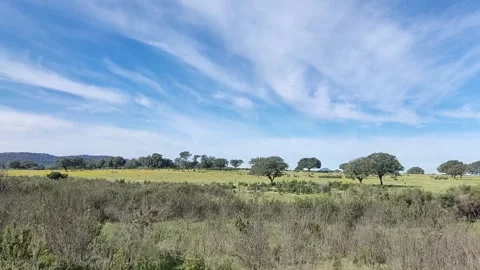 View from the window car when driving in the country side of Central Portugal Stock Footage 337056729