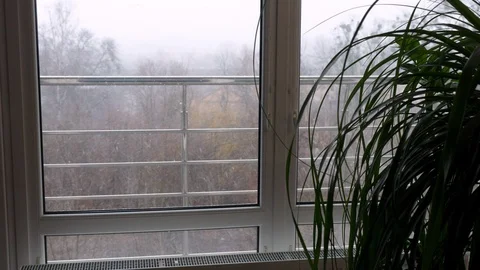 View from the window of the city, park, , winter beginning, strong wind, first Video stock 125630519