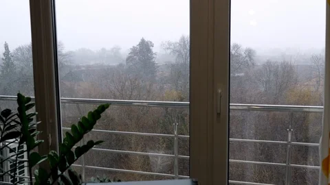 View from the window of the city, park, , winter beginning, strong wind, first Video stock 125631173
