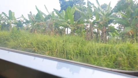 View from the window of the Commuter Line Train. Stock Footage 279296000