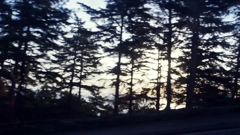 The view from the window in driving a car Vídeo Stock 84810328