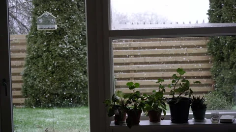 View from window with falling snow and garden with plants on windowsill. Stock Footage 335517577