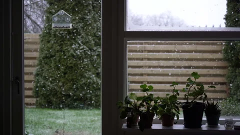 View from window with falling snow and garden with plants on windowsill. Stock Footage 335517916