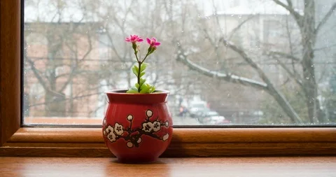 View from the window at the falling snow 스톡 동영상 87531513