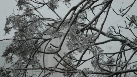 The view from the window to the falling snow Stock Footage 148450207