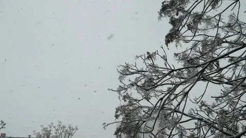 The view from the window to the falling snow Stock Footage 148450414