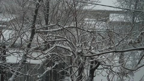 The view from the window to the falling snow Stock Footage 148450557