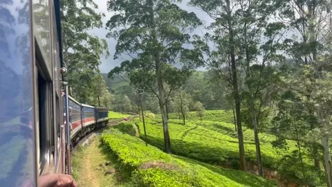View From Window Of Famous Kandy-Ella Train In Sri Lanka - Clip 1 Stock Footage 235440896
