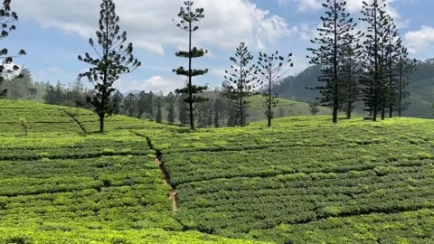 View From Window Of Famous Kandy-Ella Train In Sri Lanka - Clip 2 Stock Footage 235440897