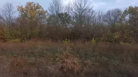 View from window of fast moving train. Train travel in Ukraine. Stock Footage 304704979
