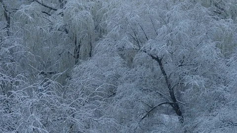 View from the window. First snow or snow in spring Видео 127344774