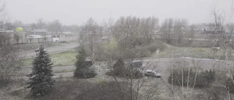 View from the Window First Snowfall and Road Stock Footage 222923784