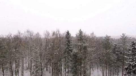 The view from the window on the flying of large fluffy snow Stock Footage 85114238