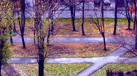 View from window Stock Footage 12460922