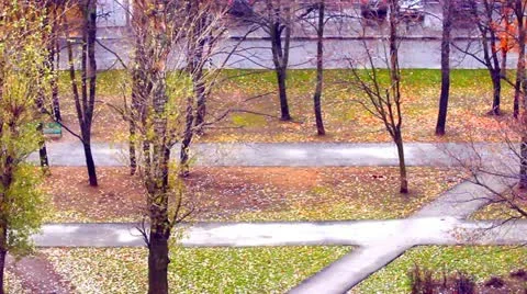 View from window 库存影片 12460967