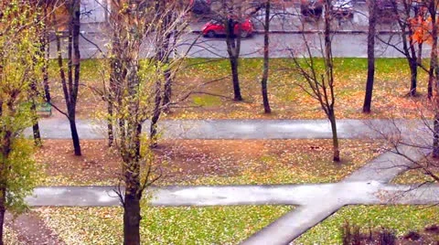 View from window Vidéo 12461730