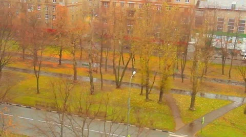 View from window Video stock 12501811