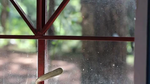 A VIEW ON THE WINDOW Stock-Footage 250326675