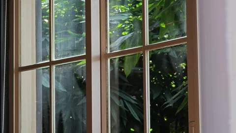 View from the window to the green garden. Stock Footage 310344368