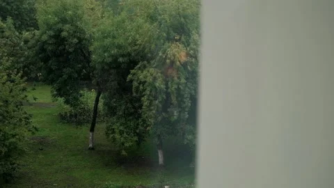 View from the window on green trees on the street Stock Footage 149344730