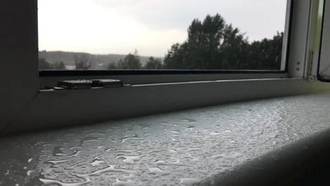 View from the window to heavy rain. Hurricane wind Stock Footage 314501339