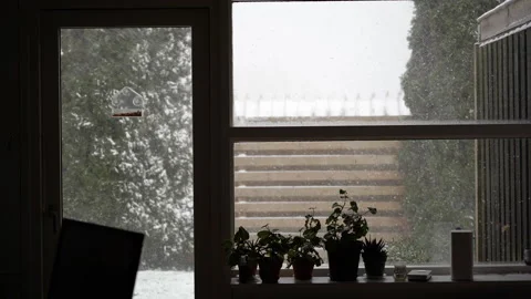 View from window with heavy snowfall and garden with plants on windowsill. Stock Footage 335520938