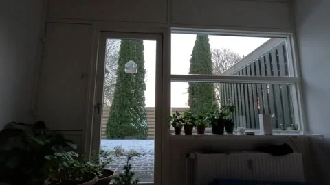View from window with heavy snowfall and garden with plants on windowsill. Stock Footage 335521732