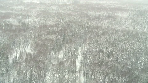 View from the window of the helicopter when flying over the taiga in winter Video stock 88694671